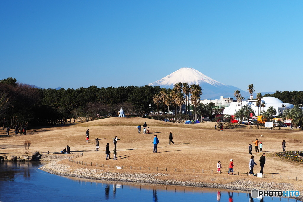 まるでハワイ！リゾートムードが楽しめる「辻堂海浜公園」1724562