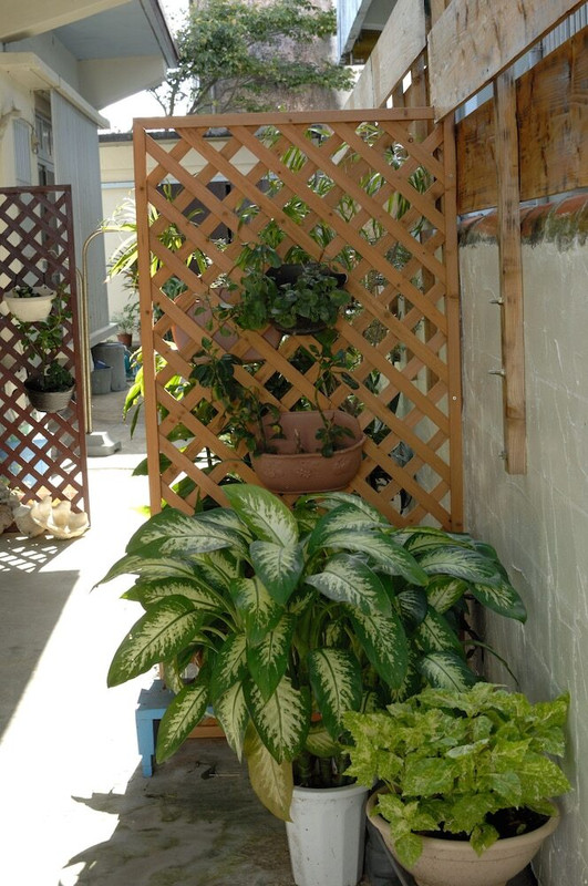 内部エントランス