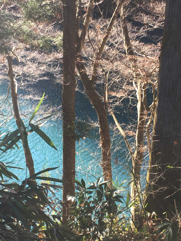 hrk_shinwaさんの写真 / 3