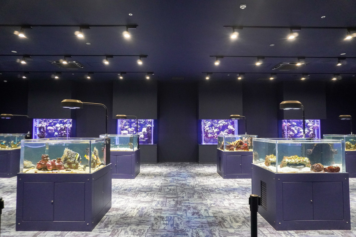 DMMかりゆし水族館・個水槽展示エリア