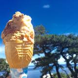 ふくまる商店（フクマルショウテン）