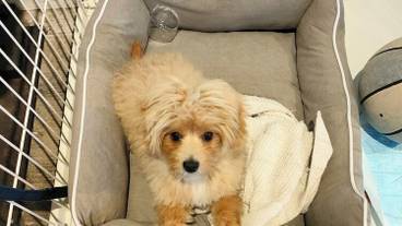 レストラン / 14