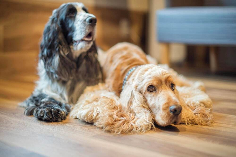 客室