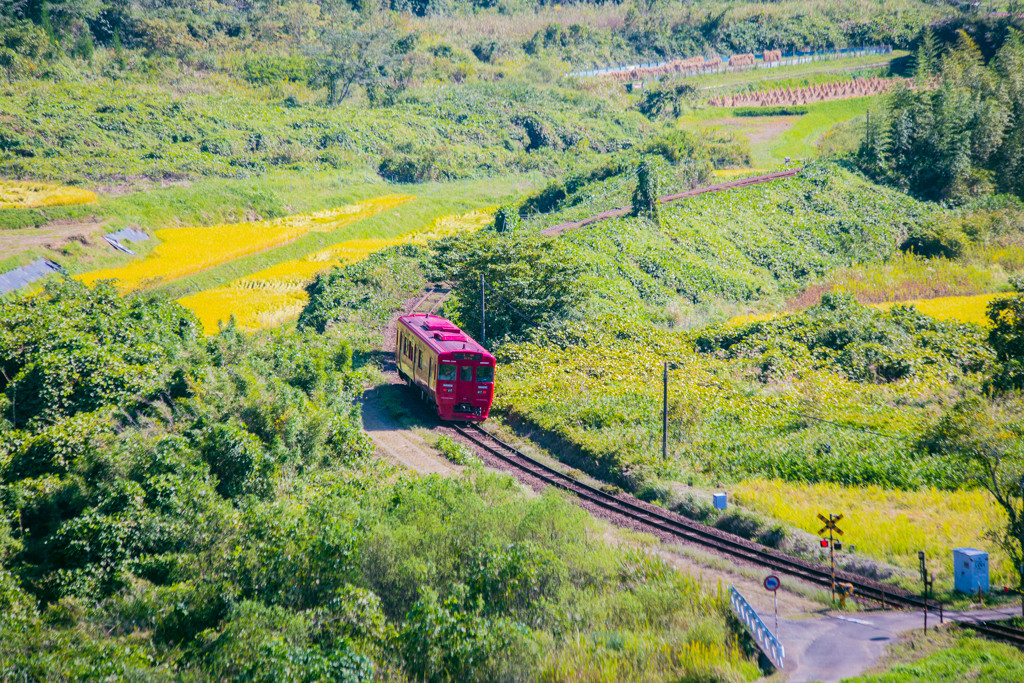 壮大な自然に癒されて3437138