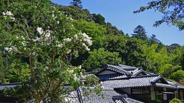 東府やResort＆Spa-Izu（トウフヤリゾートアンドスパ－イズ） / 2
