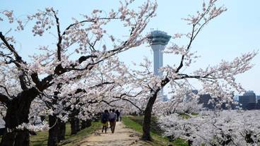 観光スポット / 5