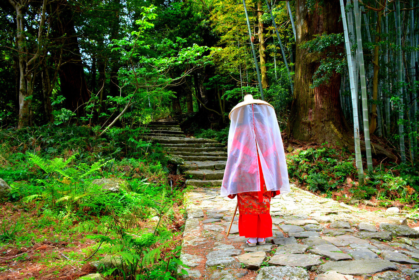 熊野古道・大門坂・道行く赤い着物の女性（３）