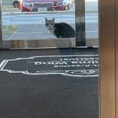 ホテルエリアワン広島ウイング（HOTEL Areaone）（広島県 ビジネスホテル） / 4