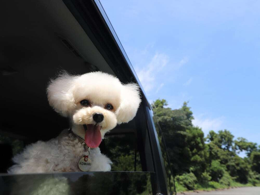 チェックイン / チェックアウト キオスク