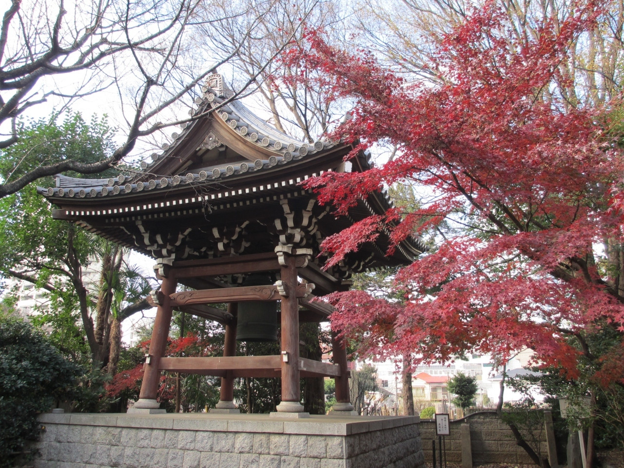 7.法明寺【豊島区】900556