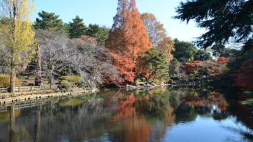 観光スポット / 5