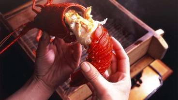 食事・飲み物 / 3