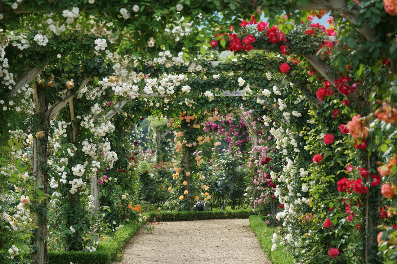 朝・夕ともお部屋食、伊豆七島を眺める魚介満腹の宿4239601