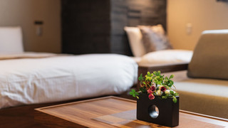 デラックスC 禁煙