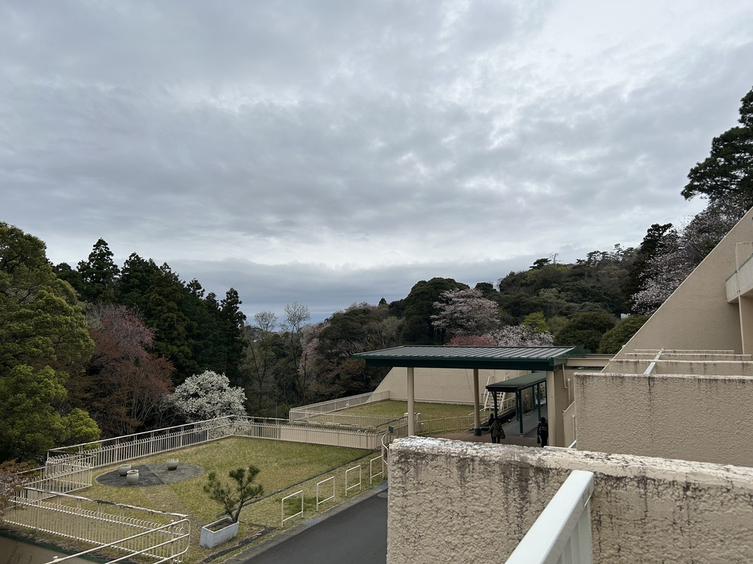 お部屋からの眺め