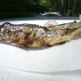 白糸の滝売店（シライトノタキバイテン）