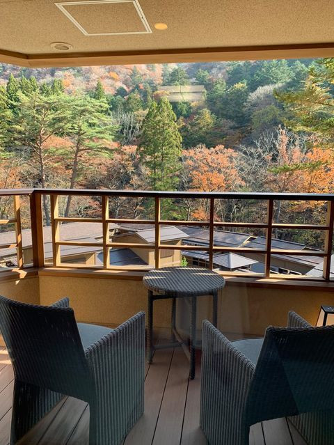 テラスからの眺め。秋は紅葉、初夏は新緑の絶景をひとり占めに / 4