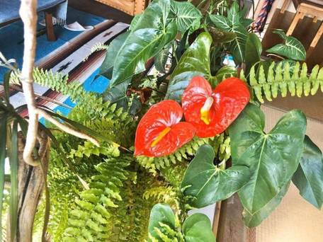 銀河荘 Galaxy Guest House / 5