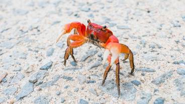 施設の入り口 / 17