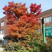 田沢湖高原温泉 田沢高原ホテル（秋田県 リゾートホテル） / 2