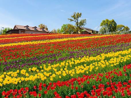 ホテル ソウルガーデン / 2