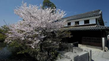 ランド ビュー / 24