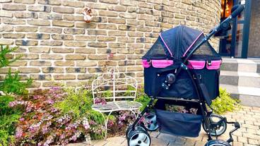 ペット用設備・サービス / 6