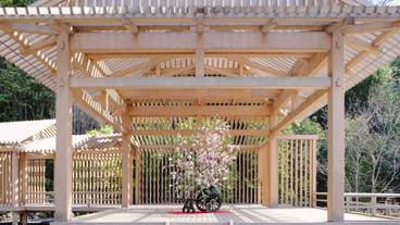 建物のデザイン / 17