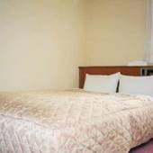 西新宿グリーンホテル（旧：ホテルノーブル）（東京都 ビジネスホテル） / 3