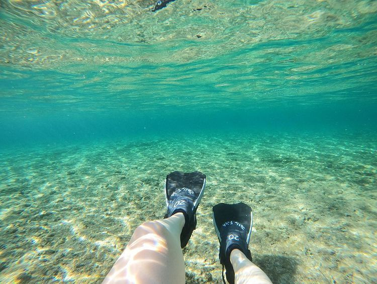 trick__0r__treatさんの写真 / 3