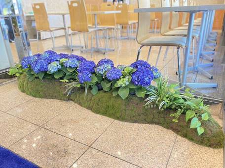 東横イン京都五条烏丸 / 3