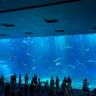 lalala_okinawa58さんの写真