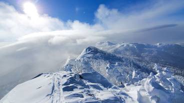 施設からの眺望 / 36