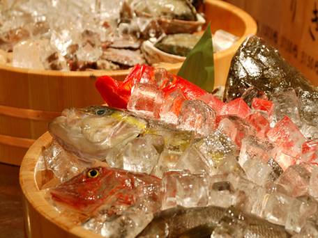 稲取東海ホテル湯苑 / 5