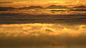 観光スポット / 6