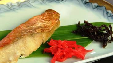 食事・飲み物 / 28