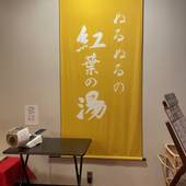 花巻温泉 ホテル紅葉館（岩手県 リゾートホテル） / 4