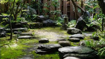 リビング エリア / 24