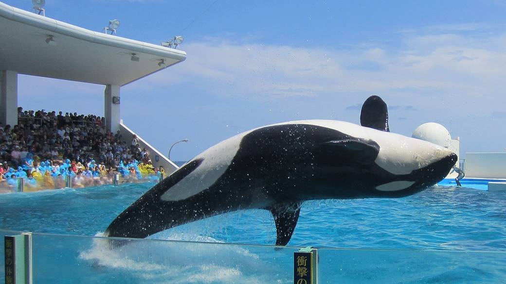 レンタカーで出発！
まずは水族館へ / 1