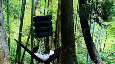 施設の敷地 / 27