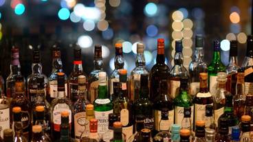 バー (施設内) / 12