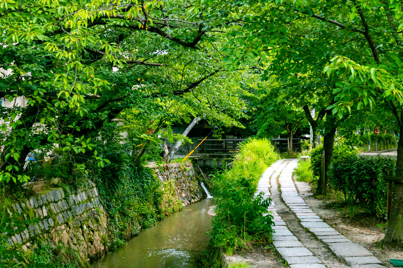 哲学の道（京都府京都市左京区）