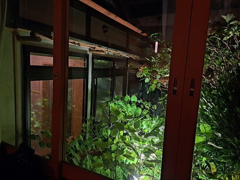 uhihinohi86さんの写真 / 1