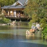 800年の歴史を感じ、
名園「積翠園」を散策 / 1