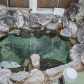 嬉野温泉 低料金の宿ビジネスの宿 旅館 一休荘（佐賀県 ビジネスホテル） / 4