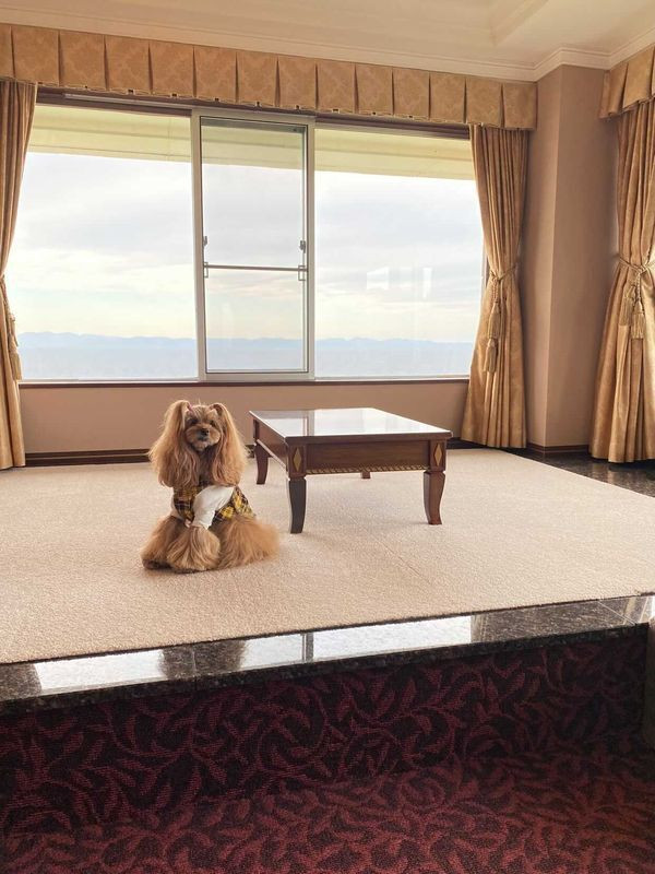 ペットと泊まれるお部屋 / 2