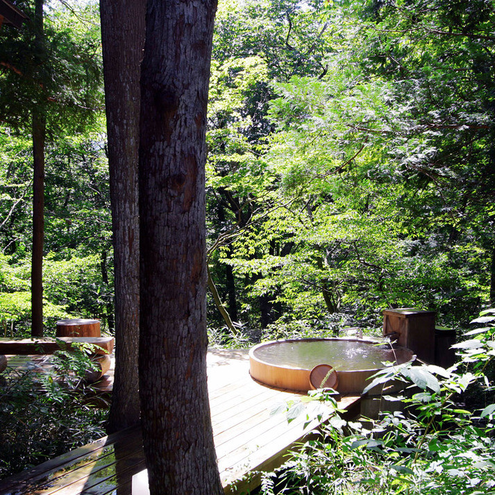 月の下に眠る 青い月 露天風呂