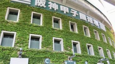 観光スポット / 11