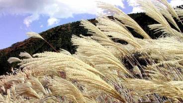 ハイキング / 19