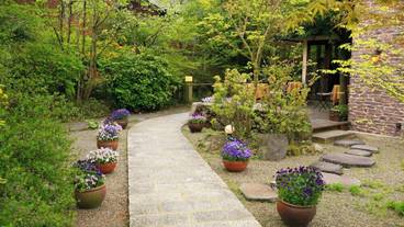 施設の敷地 / 11